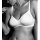 REGGISENO GIOS CANNELLA