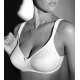 REGGISENO GIOS 972