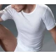 CORPO UOMO MANICA CORTA FILO DI SCOZIA 280-MM GICIPI