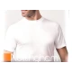 T-SHIRT UOMO GIROCOLLO LARGO T41C NOTTINGHAM