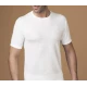 T-SHIRT UOMO GIROCOLLO LANA COTONE CONFORT15.TM NOTTINGHAM