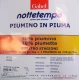 PIUMINO 4 STAGIONI 100% PIUMA VERGINE D'OCA 90 PIUMINO 10 PIUMETTE GABEL