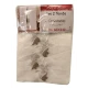 COPPIA TENDE FIORI ARIANNA VT BEIGE