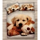 COMPLETO LENZUOLA COPRILETTO DIGITALE CANI SOFT DOG 48 LOVELY HOME CARTELLINO