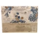 COMPLETO LENZUOLA MATRIMONIALE COTONE VERSILIA DOLCE NOTTE PEZZOLI