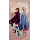TELO MARE SPUGNA 70X140CM FROZEN DISNEY
