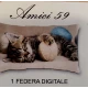 FEDERA CUSCINO COTONE DIGITALE AMICI GATTO 59 IMBERTI