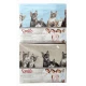 COMPLETO LENZUOLA COTONE MATRIMONIALE SMILE GATTI SAVOLTEX