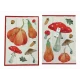 SET CUCINA COTONE DIGITALE DISEGNO MICO SGHOME STROFINACCI