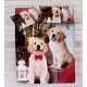 PARURE COPRIPIUMINO COTONE DIGITALE SOGNI D'ORO CANI 72 LOVELY HOME