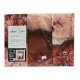 PARURE COPRIPIUMINO COTONE DIGITALE SOGNI D'ORO GATTI NATALE 69 LOVELY HOME