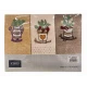 3 PEZZI STROFINACCI SPUGNA COTONE RICAMATO HERBARIUM PEPERONCINO VINGI