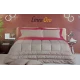 TRAPUNTA INVERNALE MATRIMONIALE MICROFIBRA TINTA UNITA VELLUTO JACQUARD ZAIRA LINEA ORO ACCIAIO