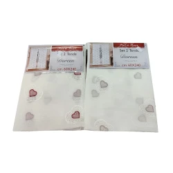 COPPIA TENDE RICAMO DOREEN VT