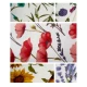 6 PEZZI STROFINACCI SPUGNA COTONE STAMPATO GARDEN VINGI