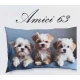 FEDERA CUSCINO COTONE DIGITALE AMICI CANI 63 IMBERTI