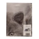 FEDERA CUSCINO COTONE DIGITALE AMICI GATTI 61 IMBERTI