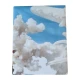FEDERA CUSCINO COTONE DIGITALE HOLIDAY 48 IMBERTI