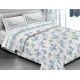COMPLETO LENZUOLA COTONE CLOE QUADRIFOGLIO AZZURRO
